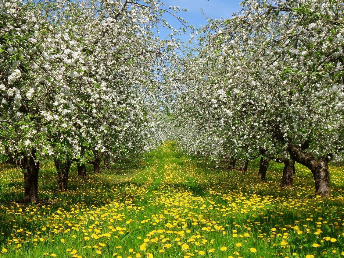 График работы клиники в майские праздники